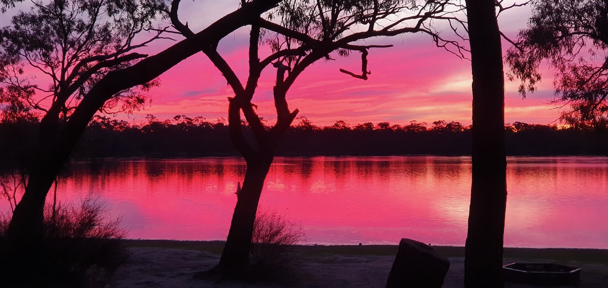 Wide pink sunset over Green Lake framed by tree silhouettes
